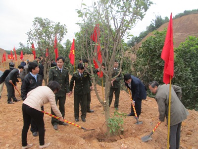 http://yenbai.gov.vn/vi/PublishingImages/Lan%20H%C6%B0%C6%A1ng/tin%20khai%20th%C3%A1c%202014/cac%20d.c%20lanhao%20huyen%20ra%20quan%20trong%20cay%20tai%20to%207%20thi%20tran%20yen%20binh.JPG