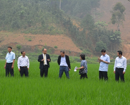 http://yenbai.gov.vn/vi/PublishingImages/Nga%20%C4%90%E1%BB%97/Trong%20tinh%202016/thang%204/tham%20mo%20hinh%20tai%20van%20yen%20134.JPG