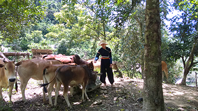 http://yenbai.gov.vn/vi/PublishingImages/Ti%E1%BA%BFn%20L%E1%BA%ADp/Nam%202015/Tin%20trong%20tinh/Tin%20bai/Thang%2012/Ong%20Chao%20Mao%20Tung%20va%20dan%20bo.jpg