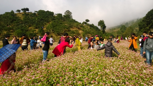 http://yenbai.gov.vn/vi/PublishingImages/Ti%E1%BA%BFn%20L%E1%BA%ADp/Nam%202016/Tin%20trong%20tinh/Vuon%20hoa%20Tam%20gia%20mach%20Suoi%20Giang.jpg